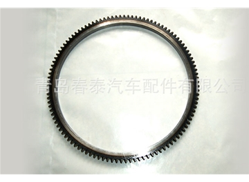 Xichai Series gear ring