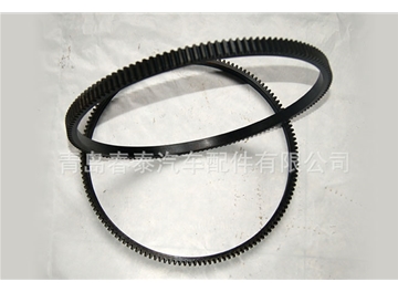 Jiangdong Series gear ring